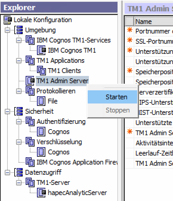 System X Konfiguration Analytic Server Admin Server starten.png