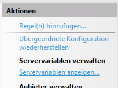 System X Konfiguration SingleSignOn Servervariablen anzeigen.png