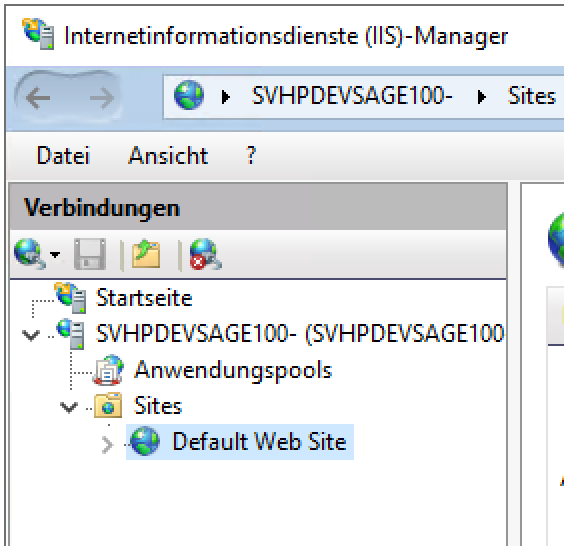 System X Konfiguration SingleSignOn Default website markieren.png