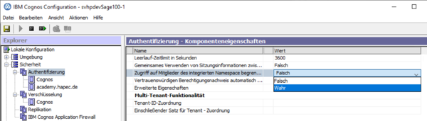 System X Konfiguration SingleSignOn Zugriff Namensraum wahr.png
