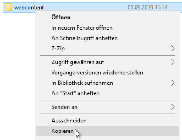 System X Konfiguration SingleSignOn webcontent kopieren.png