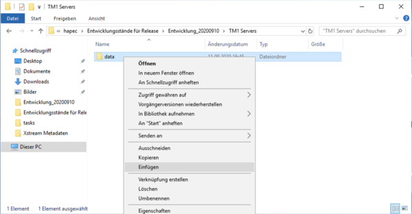 Sage 100 Releasemanagement data einfuegen.png