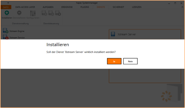 System X Installation Data Integration Server Server Install bestätigen.png