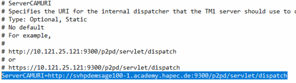 System X Konfiguration Analytic Server ServerCAMURI ändern.png
