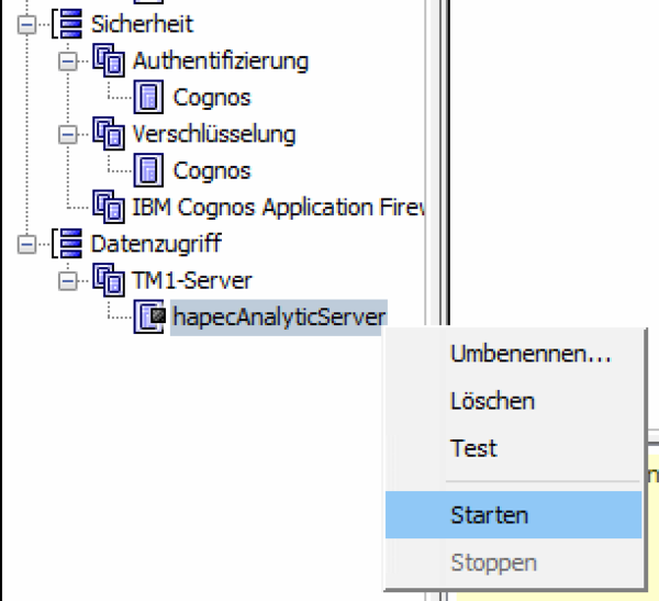 System X Konfiguration Analytic Server TM1 Server starten.png