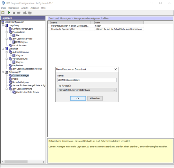 System X Reporting Server Configuration Content Store Name.png