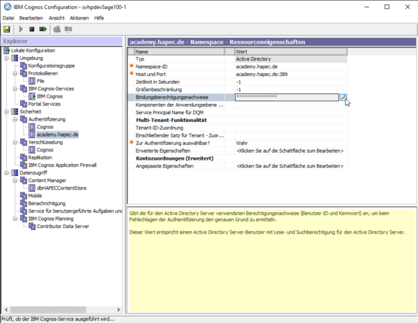 System X Reporting Server Configuration Authentication Namespace Credentials.png