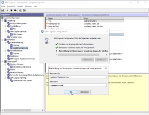 System X Reporting Server Configuration Authentication Namespace Test Credentials.png