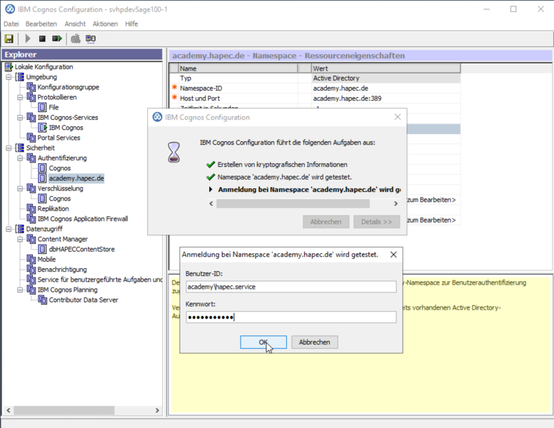 Datei:System X Reporting Server Configuration Authentication Namespace Test Credentials.png