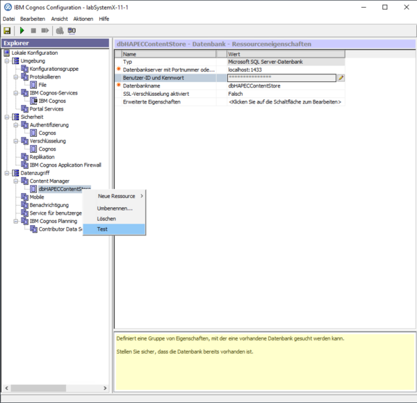 System X Reporting Server Configuration Content Store Test.png