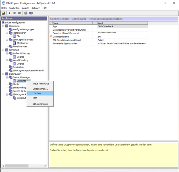 System X Reporting Server Configuration Content Store Löschen.png