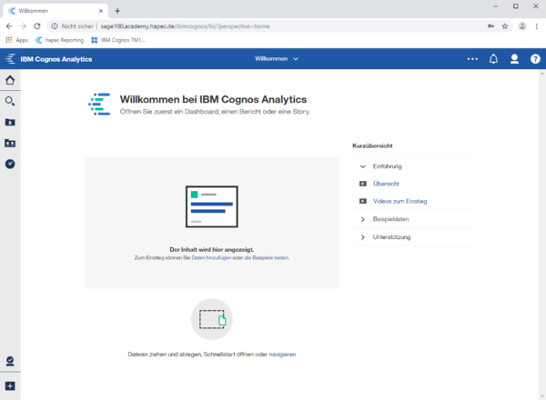 System X Konfiguration SingleSignOn SSO testen erfolgreich.png