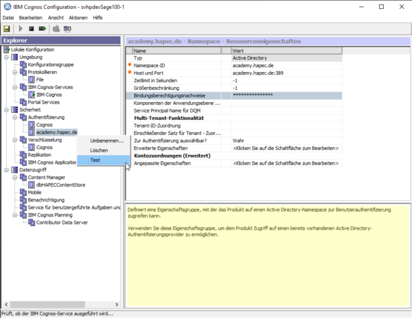 System X Reporting Server Configuration Authentication Namespace Test.png