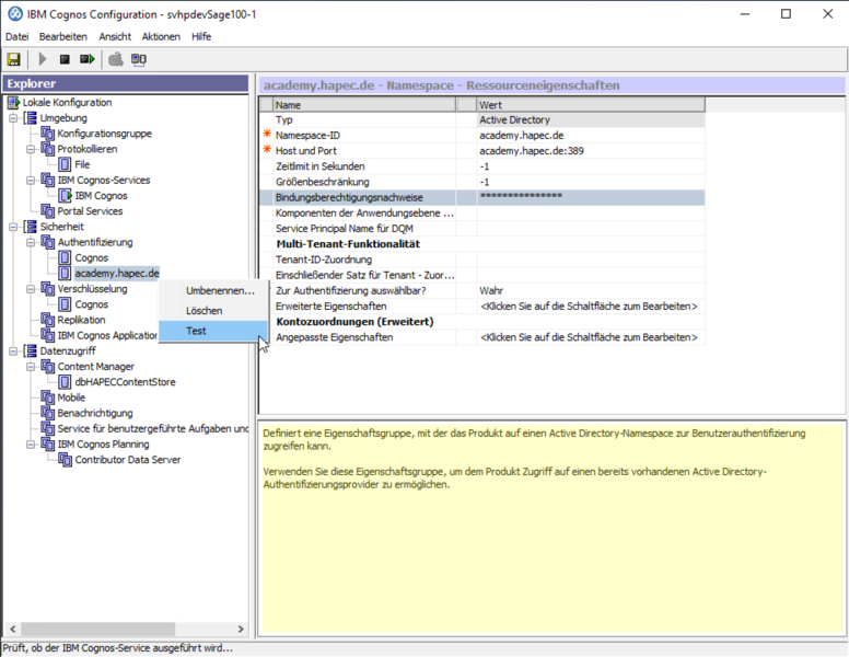 Datei:System X Reporting Server Configuration Authentication Namespace Test.png