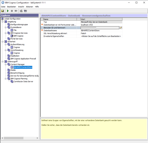 Datei:System X Reporting Server Configuration Content Store Konfiguration.png